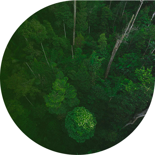 unsplash_gc3l58xaene-3